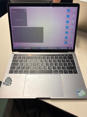 macbook pro 2019 13 zoll i5 250GB 8GB 2133MHz