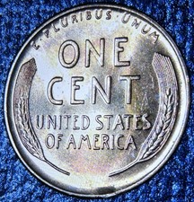  on The Hot Collector