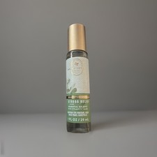 Bath and Body Works Aromatherapy EUCALYPTUS  SPEARMINT Essential Oil Mist 1 oz