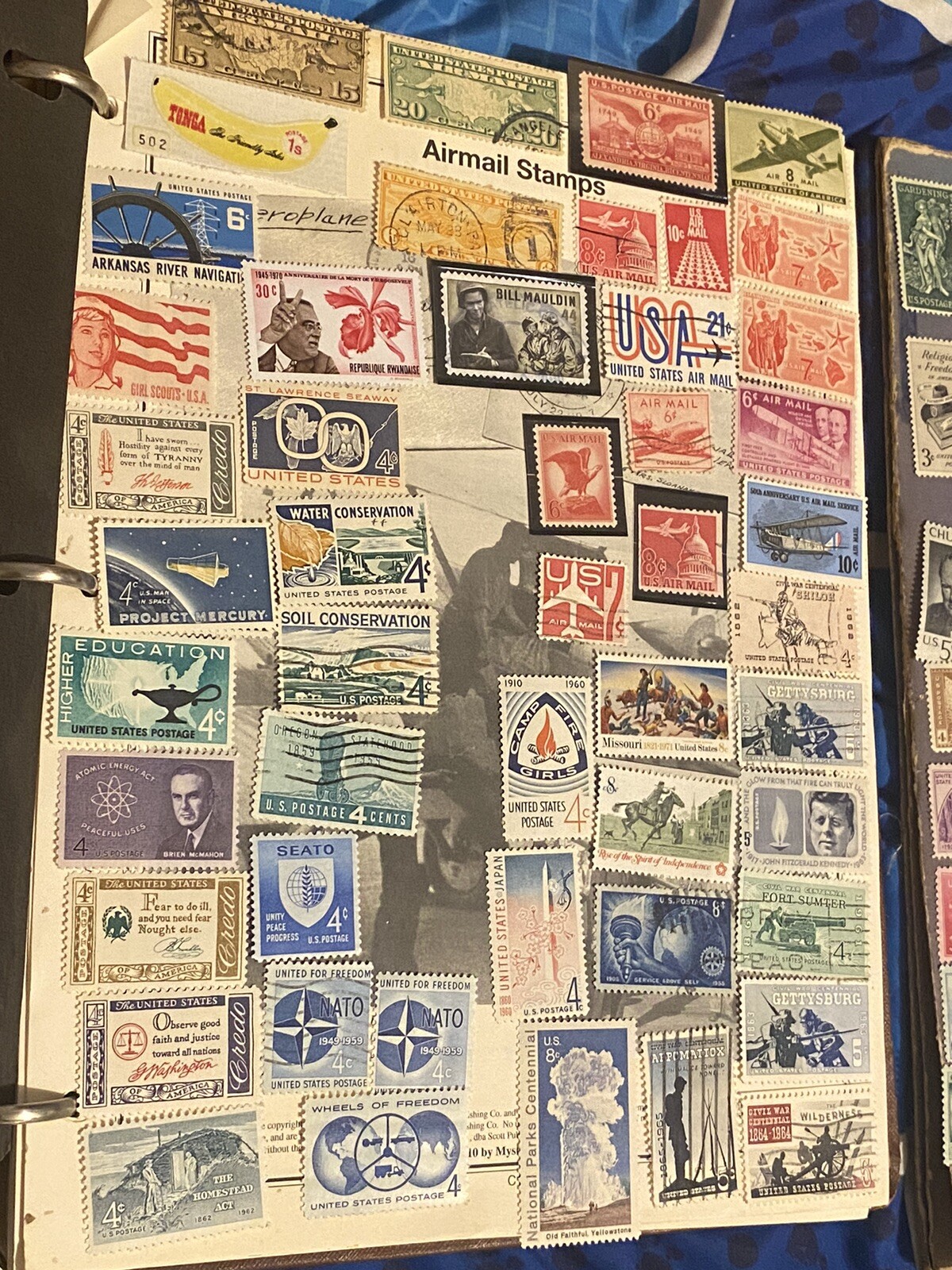 Picture 6 of 11