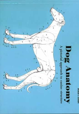 #ad Dog Anatomy: A Pictorial Approach to Canine Paperback by Goody Peter Good $11.47
