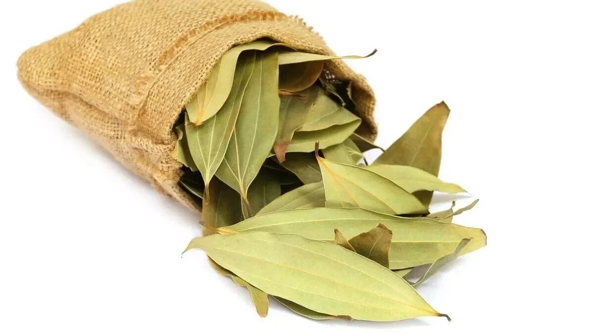 Dried Tej Patta Leaf Organic Bay Leaf Whole leaves Indian Spices (500G)