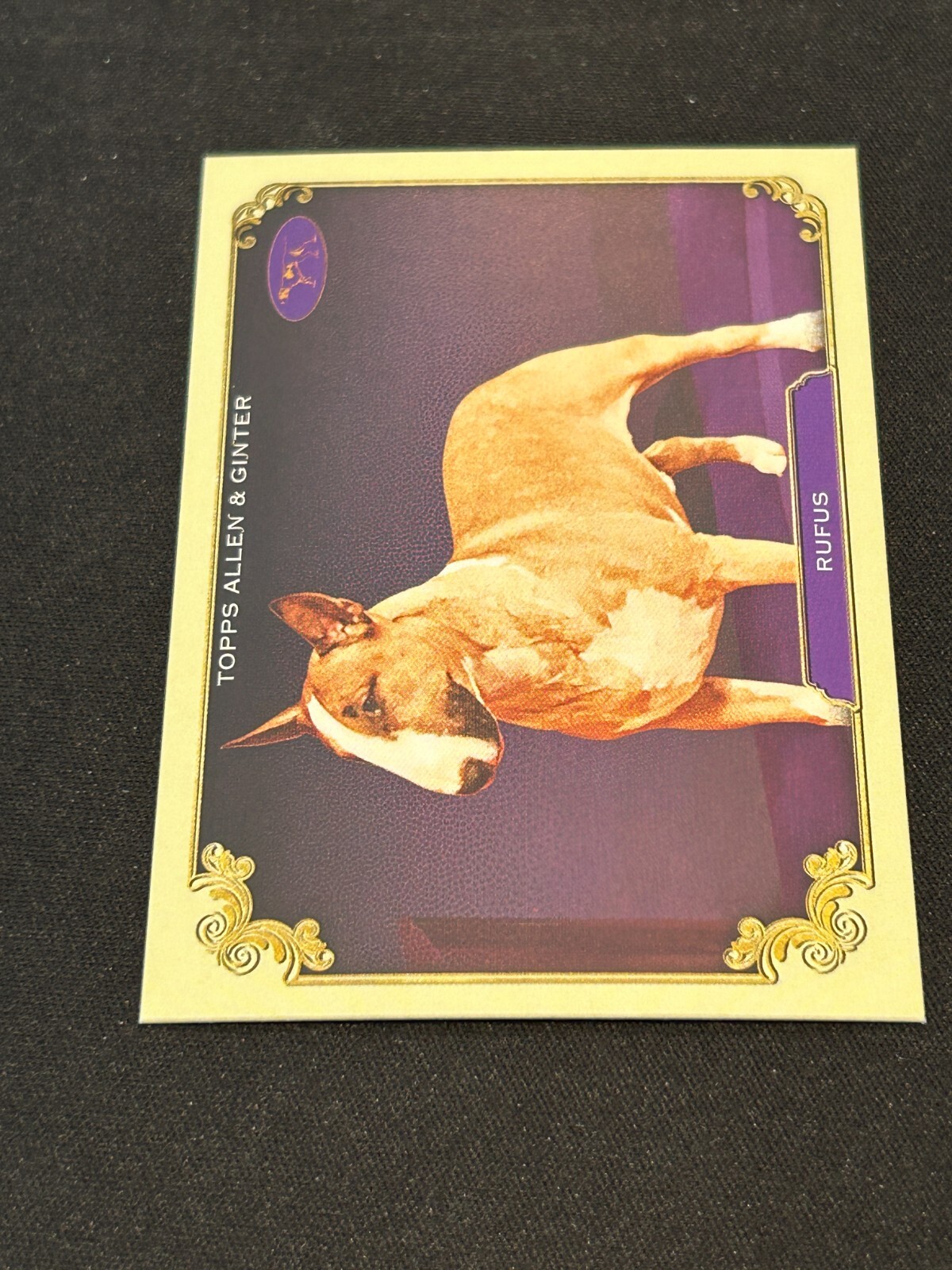 Picture 79 of 96