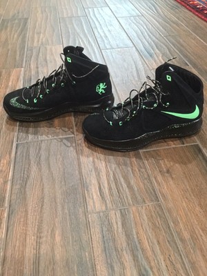 custom lebron 10