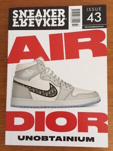 air jordan dior ebay