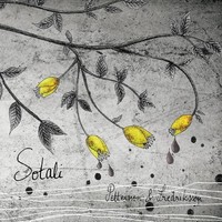 Pettersson Fredrik - Sotali - Vinyl Record - F72Z