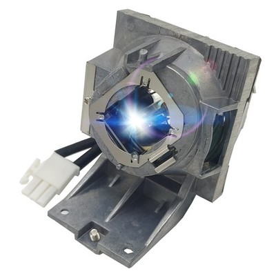 A+ Quality RLC-119 Projector Lamp Bulb with Housing with Viewsonic PG701WU PX...