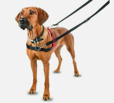 Halti Control Dog Harness Black/Red Size M 22.83" - 33.85" Adjustable