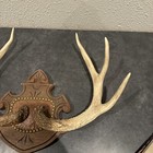 Picture 2 of 5