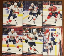 Florida Panthers 2024-25 UD Series 1 Team Set (6 Cards) - Cup Champs