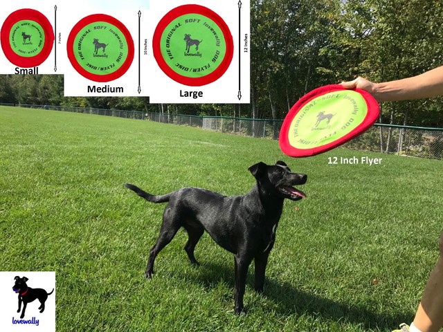 soft frisbee for dogs