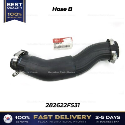 ⭐Genuine⭐ Hose B 282622F531 for Kia Cadenza | eBay