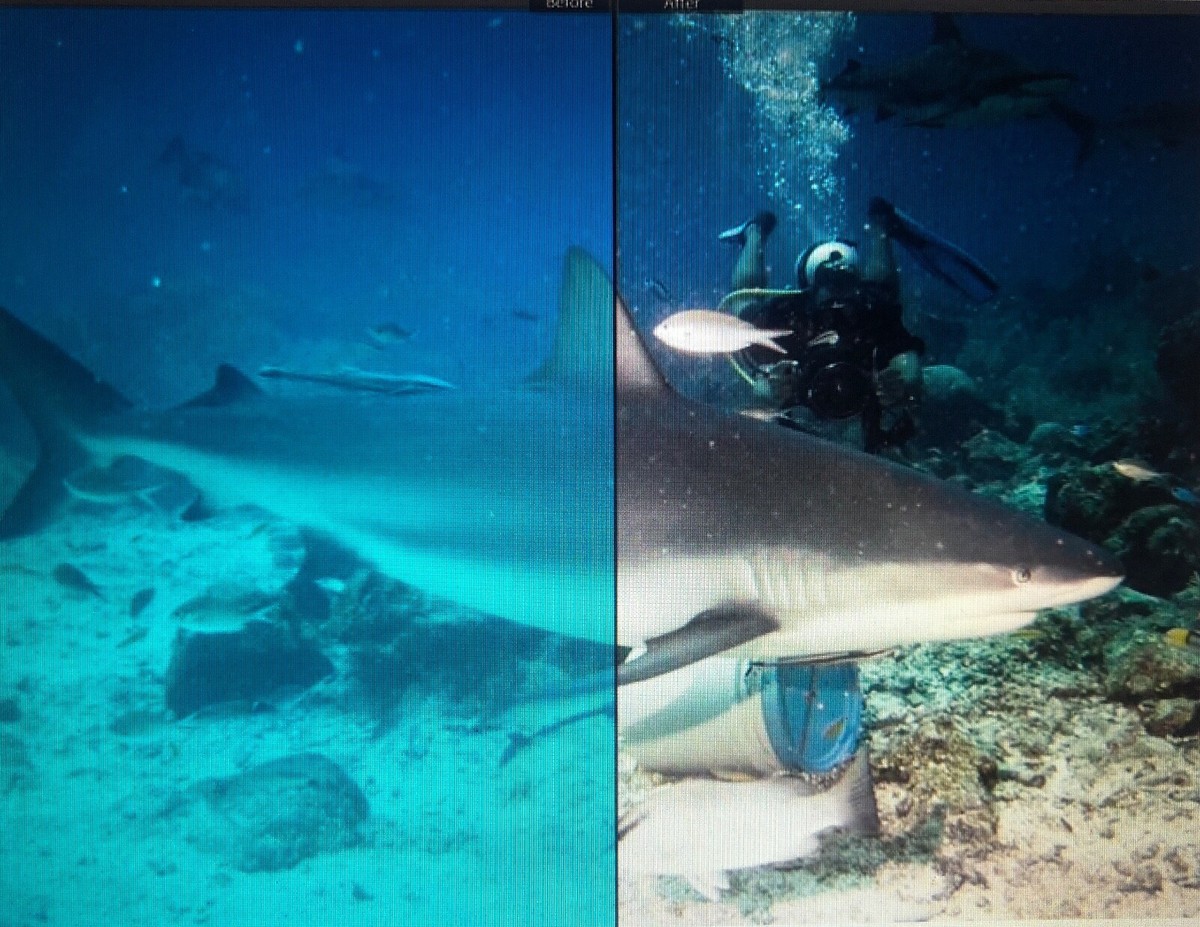 Titel Thesaurus Absorption kamera rotfilter Besen Phantasie Quelle