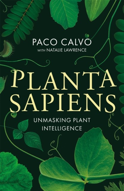 Planta Sapiens Unmasking Plant Intelligence by Natalie Lawrence (Hardback Book)