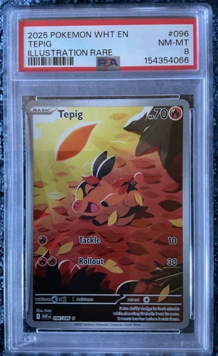Tepig 96 PSA 8 Pokemon Trading Card Game White Flare Illustration Rare