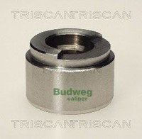 Triscan Kolben, Bremssattel 8170 234201 FüR Bmw MERCEDES-BENZ Opel Porsche Vw