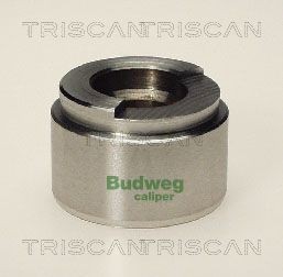 Triscan Kolben, Bremssattel 8170 234201 FüR Bmw MERCEDES-BENZ Opel Porsche Vw-image