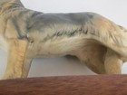 Bild 13 von 17