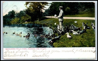 Postcard MIDDLESEX FELLS PARK, FEEDING THE DUCKS   Y94