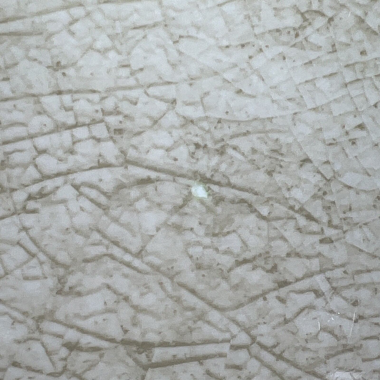 Picture 8 of 10