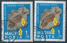 20799 Hungary Prehistoric Animal Fish Geology Used ERROR Shifted Colour