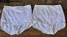 Vtg Y2K 90s Hanes Her Way VTSilky Control High Cut Brief Panty XXL