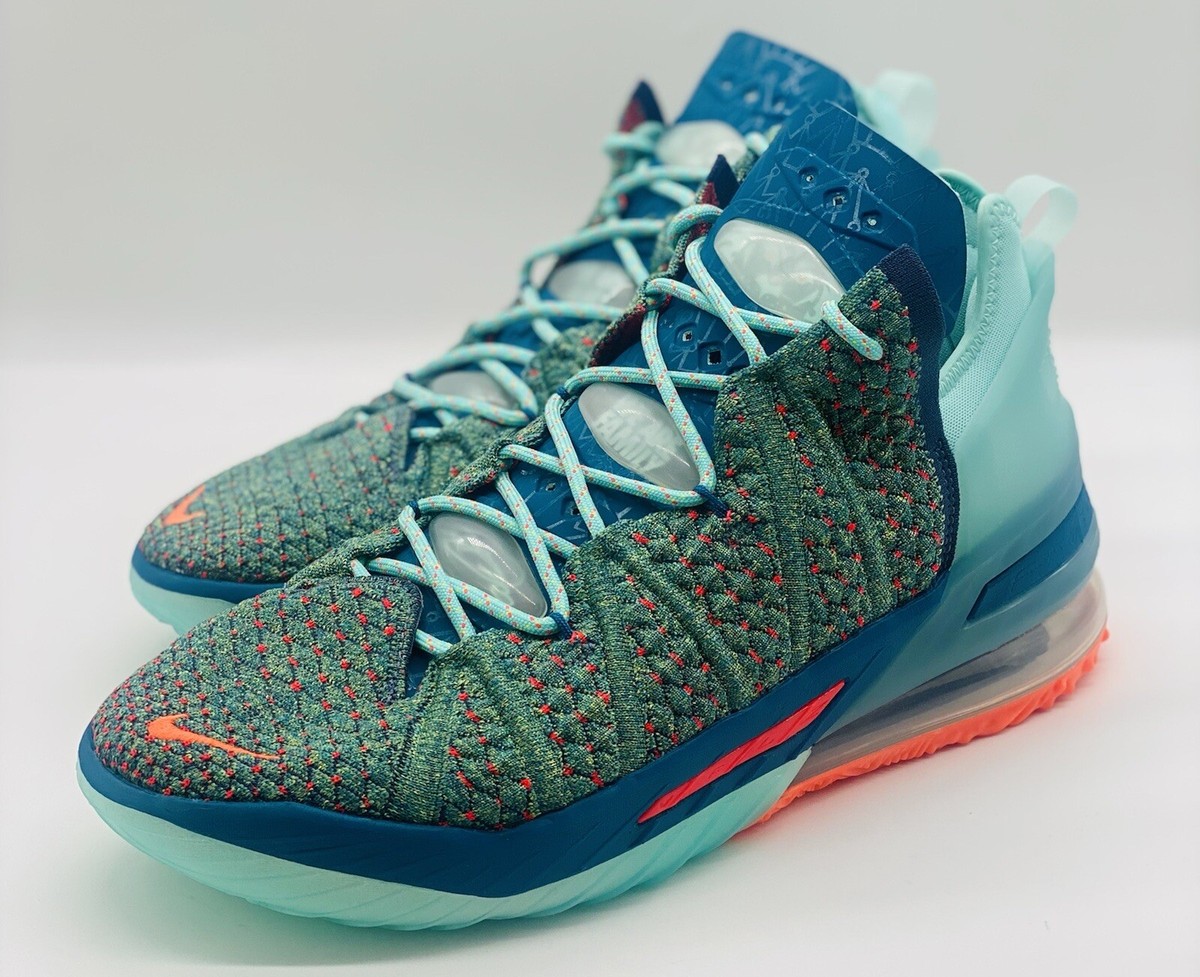 lebron we are family shoes