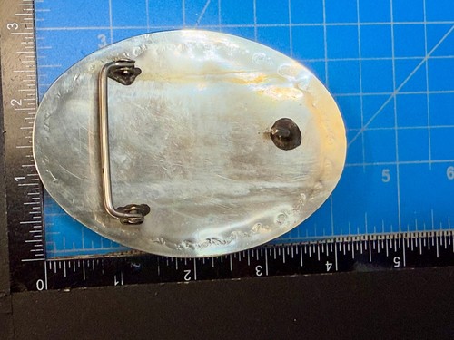 Nativo Americano Indio Navajo Oso Pluma Turquesa Coral Piedra De Colección Hebilla de Cinturón - Imagen 8 de 20