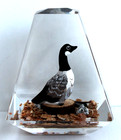 Vintage Hand Carved Painted Wood Goose Lucite/acrylic Unique Canada Paperweight — photo 3