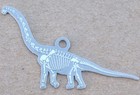 Dinosaur Skeleton Fossil Travel Tags/Geocoins Set of 4 - Activated & Adoptable — photo 4