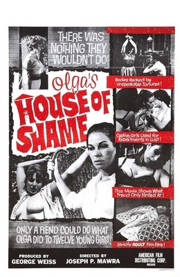 10 Exploitation Films From the '60s That Shocked the World!!!