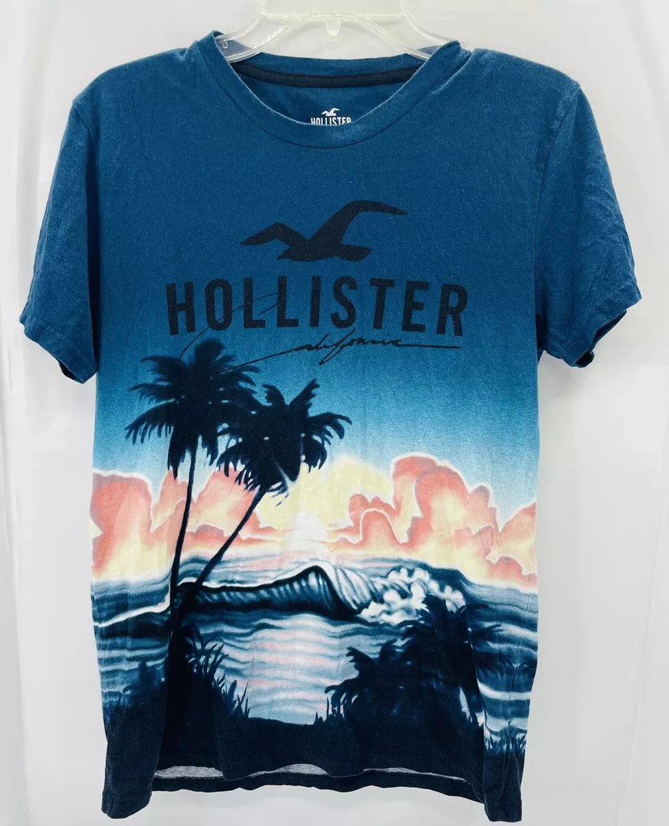 T shirt Hollister Taille S Homme