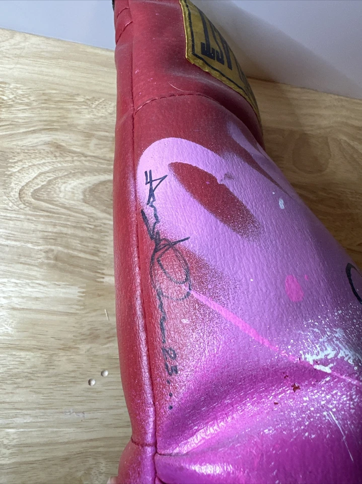 Guante de Boxeo Angel Once LA Graffiti Original Elefante Rosa Foto 2 de 3