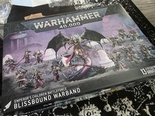 Warhammer 40k Emperors Children Battleforce Bliddbound Warband