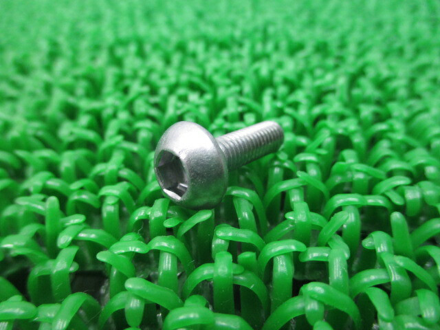 フライデー フライデー 10x Honda CBR Fairing Bolts m5 x 16mm 90103-MBG
