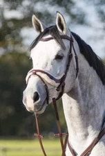 Versa Anatomical Comfort Stride Flash Snaffle Bridle With Reins