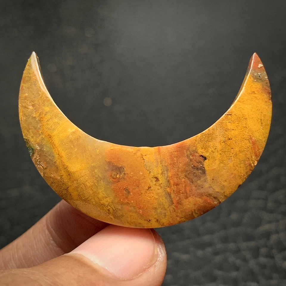 Jasperized Coral Fossil Cabochon 41x13x5mm High Quality 29 ct - Image 2 of 4