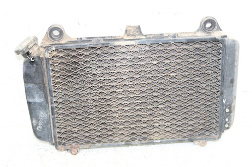 2002 Kawasaki Mojave 250 Radiator w/ Coolant Hoses - Foto 7 di 9