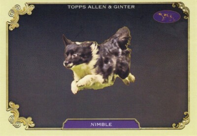 2024 Topps Allen & Ginter Stars of the Show Insert Nimble #SOS-34