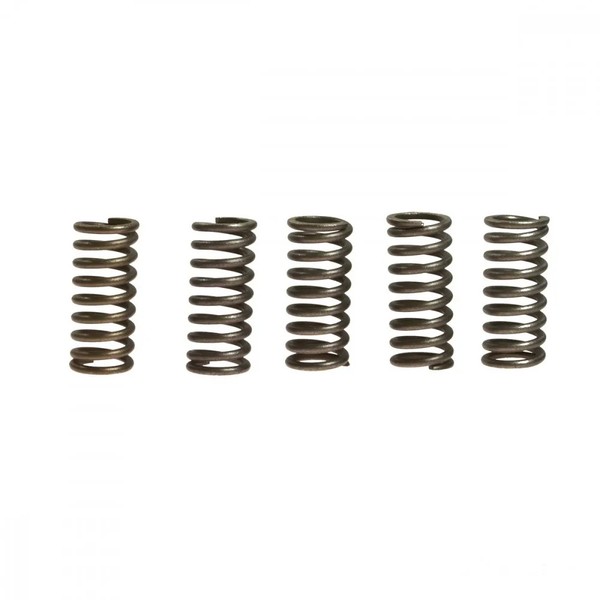 Kupplungsfeder VerstäRkt (5Stk) Ebc CSK033 FüR Honda Ntv 650 Revere 1988-1997-image