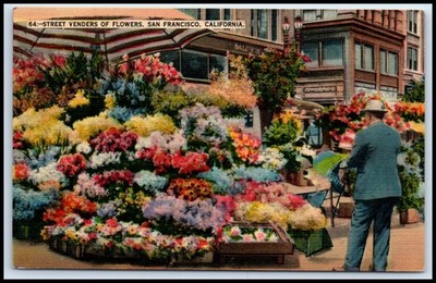 Postcard 64:-STREET VENDERS OF FLOWERS, SAN FRANCISCO, CALIFORNIA.BALDWI   Y98