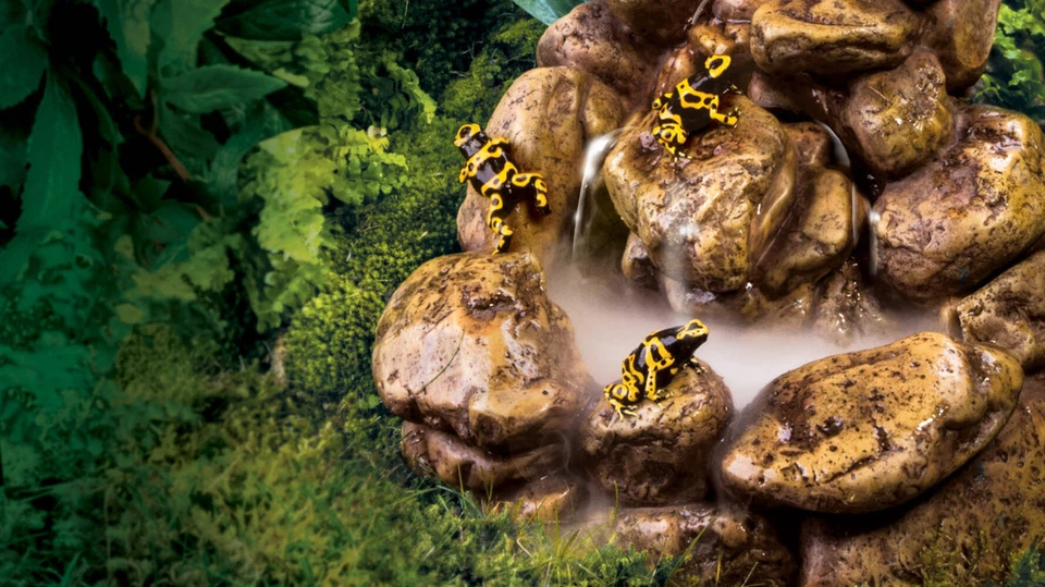 Exo Terra Waterfall Pebble Wasserfall Kieselsteine Reptilien Terrarium Tränke - Bild 2 von 4