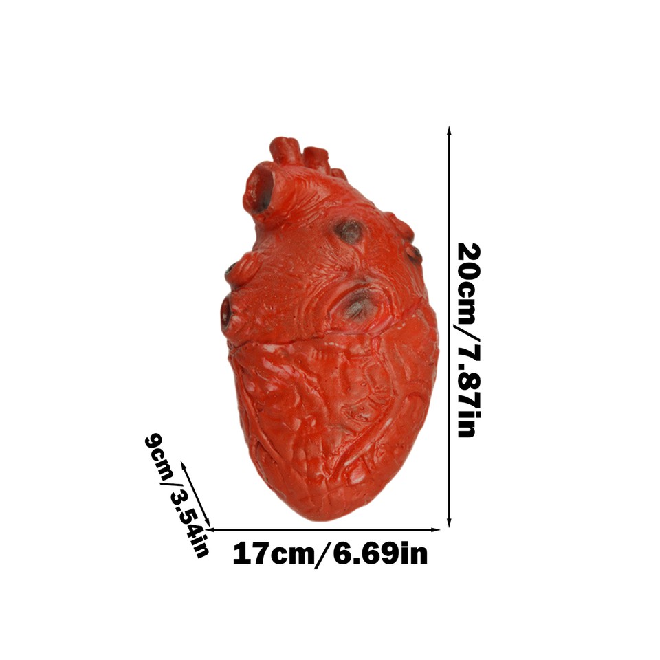 Realistic Human Heart Prop Spooky Beating Heart Halloween Props Fake