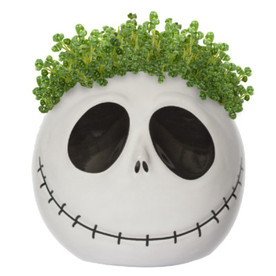 Chia Pet Handmade Decorative Planter with Watering Can - Jack Skellington