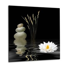 Image of Glass Kitchen Splashback Panel – 6mm Toughened & Heat-Resistant | Design No.2017