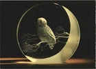 Night Owl Designed by James Houston Steuben Glass, Corning Glass Center Postcard