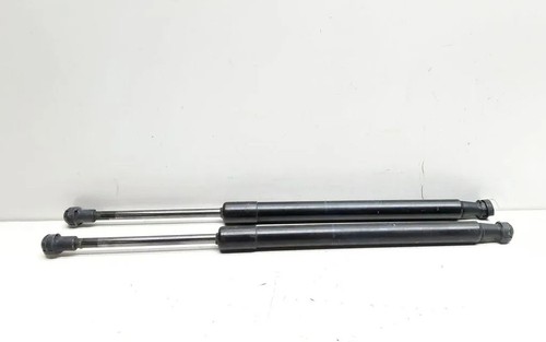 BMW 3 E90 Vordere linke Motorhaubendämpfer 7250308 2.00 Diesel 2009 33631420