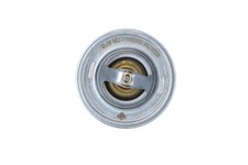 Thermostat Audi 60