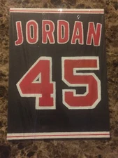 Michael Jordan 45 Bulls Custom Drawing/painting 9”X12” Canvas Panel