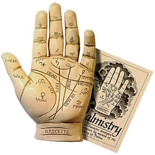 PALMISTRY HAND KIT Includes Cold-Cast Resin Hand & Guide Booklet Palm Reading